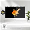 OLED55G5WUA